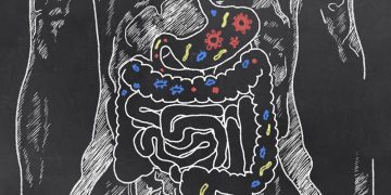 Bağırsak Bakterileri ve Bağışıklık Sistemi Arasındaki İlişki